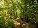 A l'est de la forêt de Parroy (enclave)